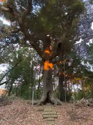 八幡神社(千葉県)