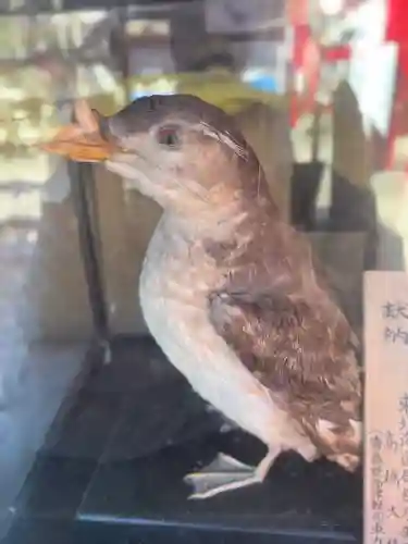 善知鳥神社(青森県)