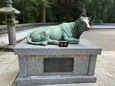 金剛證寺の{uncategorized: "未分類", other: "その他", undefined: "問題あり", building: "その他建物", grave: "お墓", sacred_gate: "鳥居", guardian: "狛犬", statue: "像", buddha: "仏像", history: "歴史", nature: "自然", garden: "庭園", animal: "動物", pagoda: "塔", temizu: "手水舎", mountain_gate: "山門・神門", sanctuary: "本殿・本堂", subordinate: "末社・摂社", art: "芸術", scenery: "景色", jizo: "地蔵", ema: "絵馬", goshuin: "御朱印", omikuji: "おみくじ", items: "授与品その他", amulet: "お守り", goshuincho: "御朱印帳", eats: "食事", festival: "お祭り", votive_dance: "神楽", shichigosan: "七五三参", wedding: "結婚式", experience: "体験その他", initially: "初詣", around: "周辺", anti_infection: "感染症対策"}