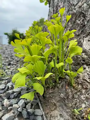 熊野福藏神社(福島県)
