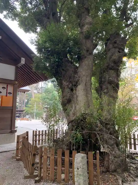 塚崎神明社(千葉県)