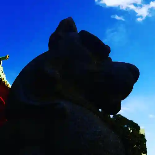 神田神社（神田明神）の狛犬