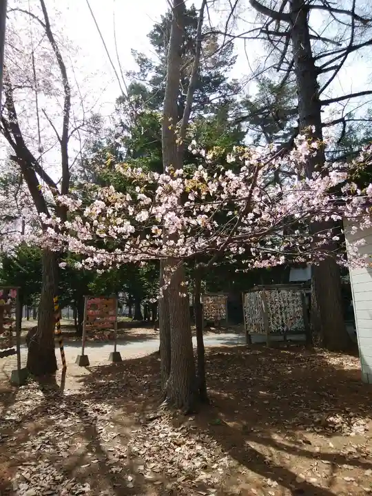 大谷地神社(北海道)