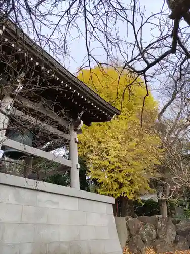 瑞雲寺(神奈川県)