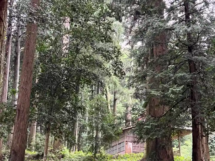 大宮温泉神社(栃木県)