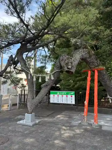 玉村八幡宮(群馬県)