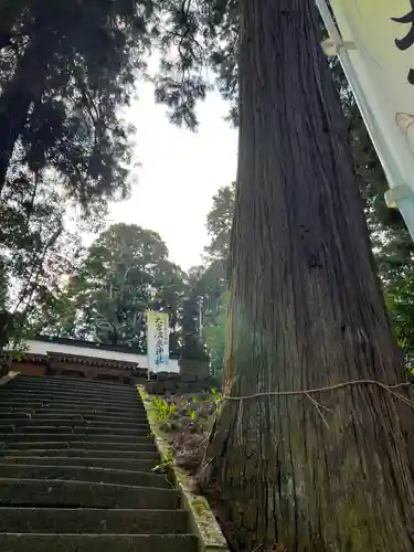 大宮温泉神社(栃木県)