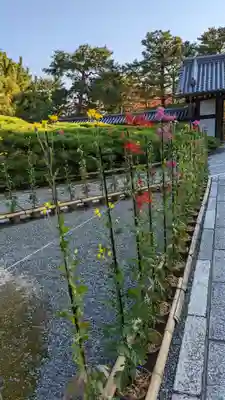 大覚寺(京都府)