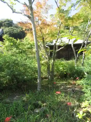 浄光明寺の庭園