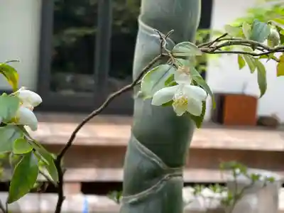 遠照山 光明寺（尼崎大仏）(兵庫県)