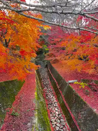 石鎚神社 口之宮 本社(愛媛県)