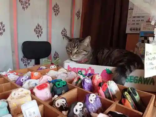 前玉神社(埼玉県)