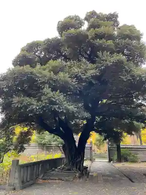 湯島聖堂(東京都)