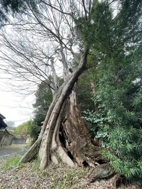 日吉神社(滋賀県)