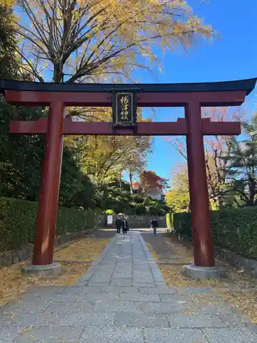 根津神社の鳥居