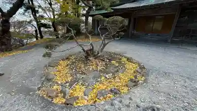函館八幡宮(北海道)