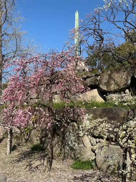 鎭國守國神社の{uncategorized: "未分類", other: "その他", undefined: "問題あり", building: "その他建物", grave: "お墓", sacred_gate: "鳥居", guardian: "狛犬", statue: "像", buddha: "仏像", history: "歴史", nature: "自然", garden: "庭園", animal: "動物", pagoda: "塔", temizu: "手水舎", mountain_gate: "山門・神門", sanctuary: "本殿・本堂", subordinate: "末社・摂社", art: "芸術", scenery: "景色", jizo: "地蔵", ema: "絵馬", goshuin: "御朱印", omikuji: "おみくじ", items: "授与品その他", amulet: "お守り", goshuincho: "御朱印帳", eats: "食事", festival: "お祭り", votive_dance: "神楽", shichigosan: "七五三参", wedding: "結婚式", experience: "体験その他", initially: "初詣", around: "周辺", anti_infection: "感染症対策"}