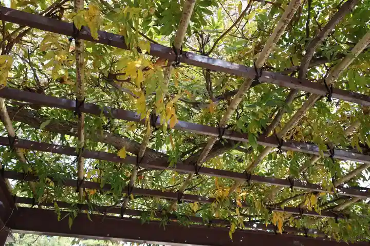 祐天寺(東京都)