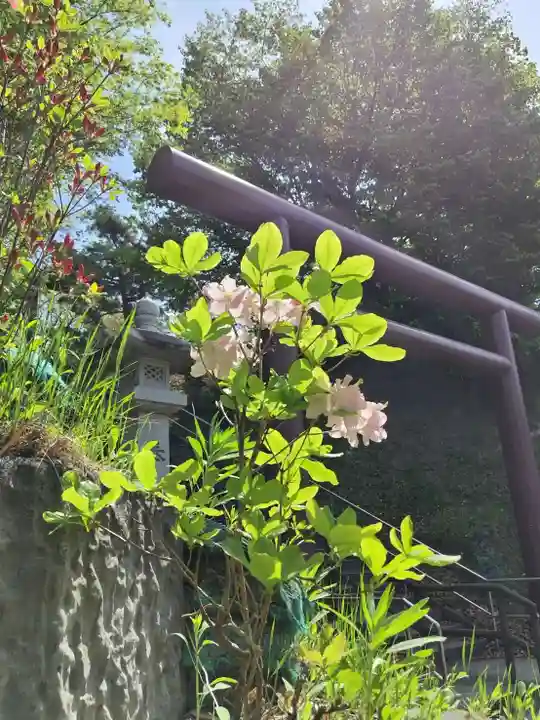 厚別神社(北海道)