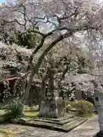 成願寺(千葉県)