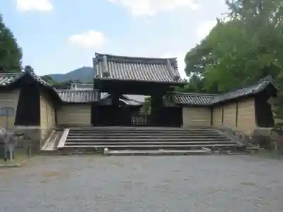 隨心院(随心院)(京都府)