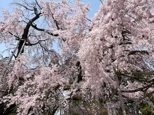 醍醐寺(京都府)