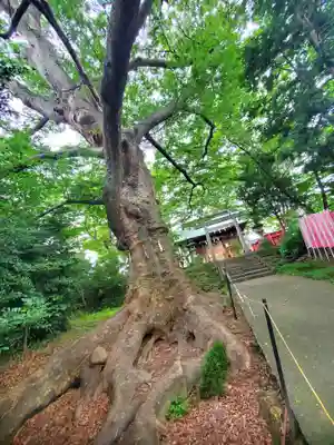 愛宕神社(福島県)