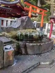 箱根神社の手水