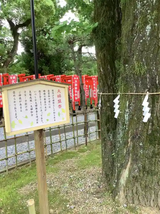 大垣八幡神社の歴史