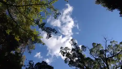 東雲神社の自然