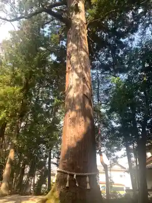 猿投神社(愛知県)