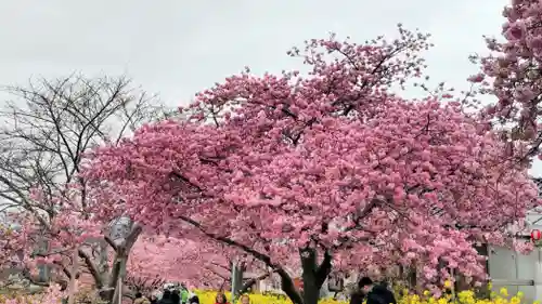 川津来宮神社(静岡県)
