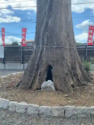 石井神社(茨城県)