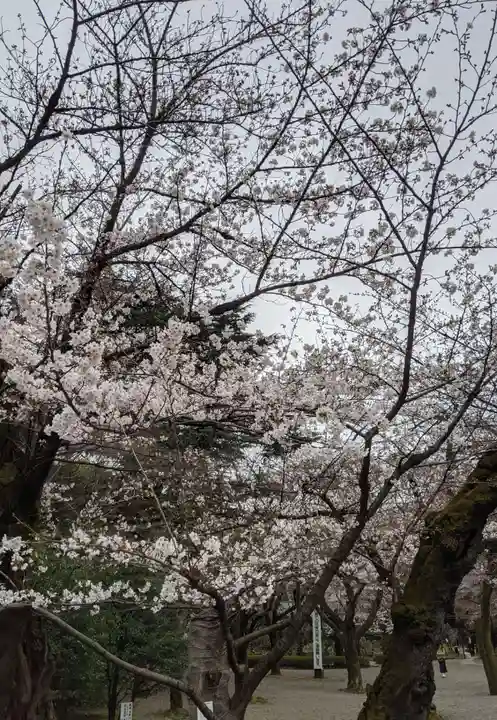 靖國神社の自然