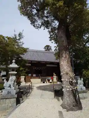 神館神社の本殿・本堂