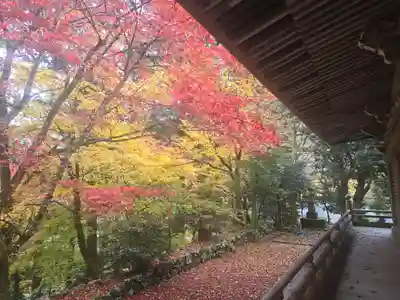 葛川息障明王院(滋賀県)