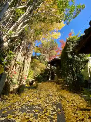 木食寺安祥院のその他建物