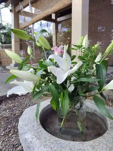 厚別神社(北海道)