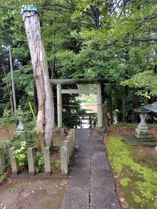 伊古乃速御玉比売神社(埼玉県)
