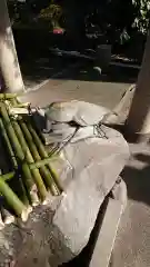 亀戸天神社の手水