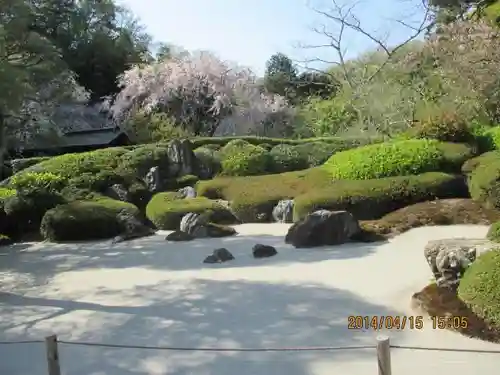 明月院の庭園