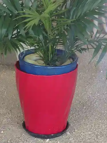 岩国白蛇神社の動物