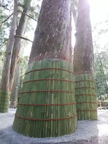 伊勢神宮内宮（皇大神宮）(三重県)