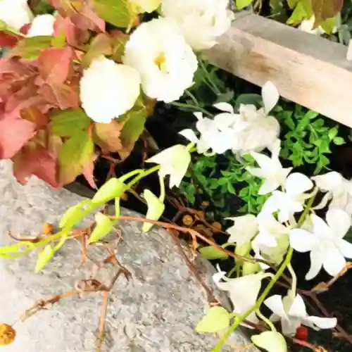 彌彦神社　(伊夜日子神社)(北海道)