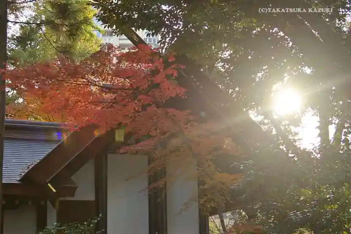 愛宕神社の自然