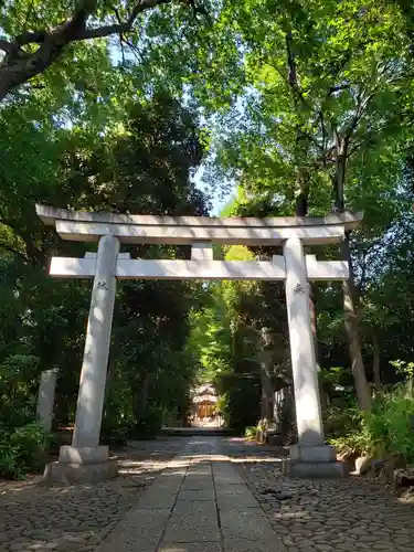 代々木八幡宮の鳥居