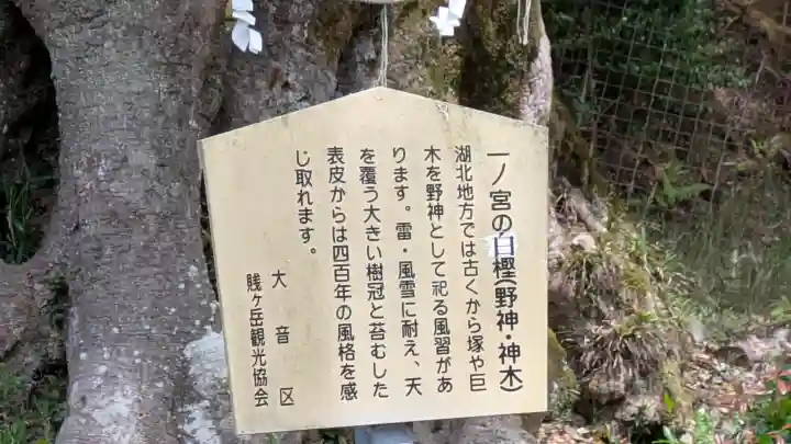 一ノ宮神社の{uncategorized: "未分類", other: "その他", undefined: "問題あり", building: "その他建物", grave: "お墓", sacred_gate: "鳥居", guardian: "狛犬", statue: "像", buddha: "仏像", history: "歴史", nature: "自然", garden: "庭園", animal: "動物", pagoda: "塔", temizu: "手水舎", mountain_gate: "山門・神門", sanctuary: "本殿・本堂", subordinate: "末社・摂社", art: "芸術", scenery: "景色", jizo: "地蔵", ema: "絵馬", goshuin: "御朱印", omikuji: "おみくじ", items: "授与品その他", amulet: "お守り", goshuincho: "御朱印帳", eats: "食事", festival: "お祭り", votive_dance: "神楽", shichigosan: "七五三参", wedding: "結婚式", experience: "体験その他", initially: "初詣", around: "周辺", anti_infection: "感染症対策"}