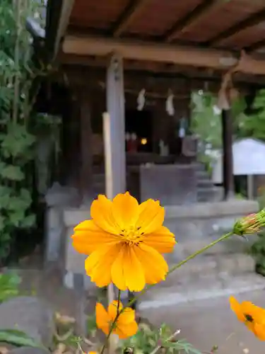 鷺宮八幡神社の自然