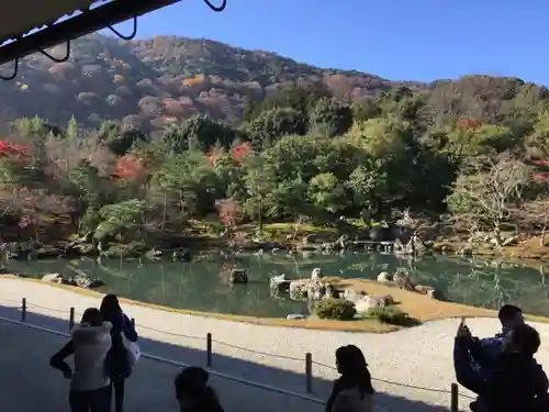 天龍寺の庭園