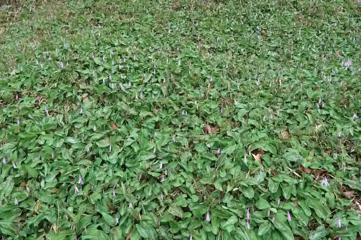 達身寺(兵庫県)